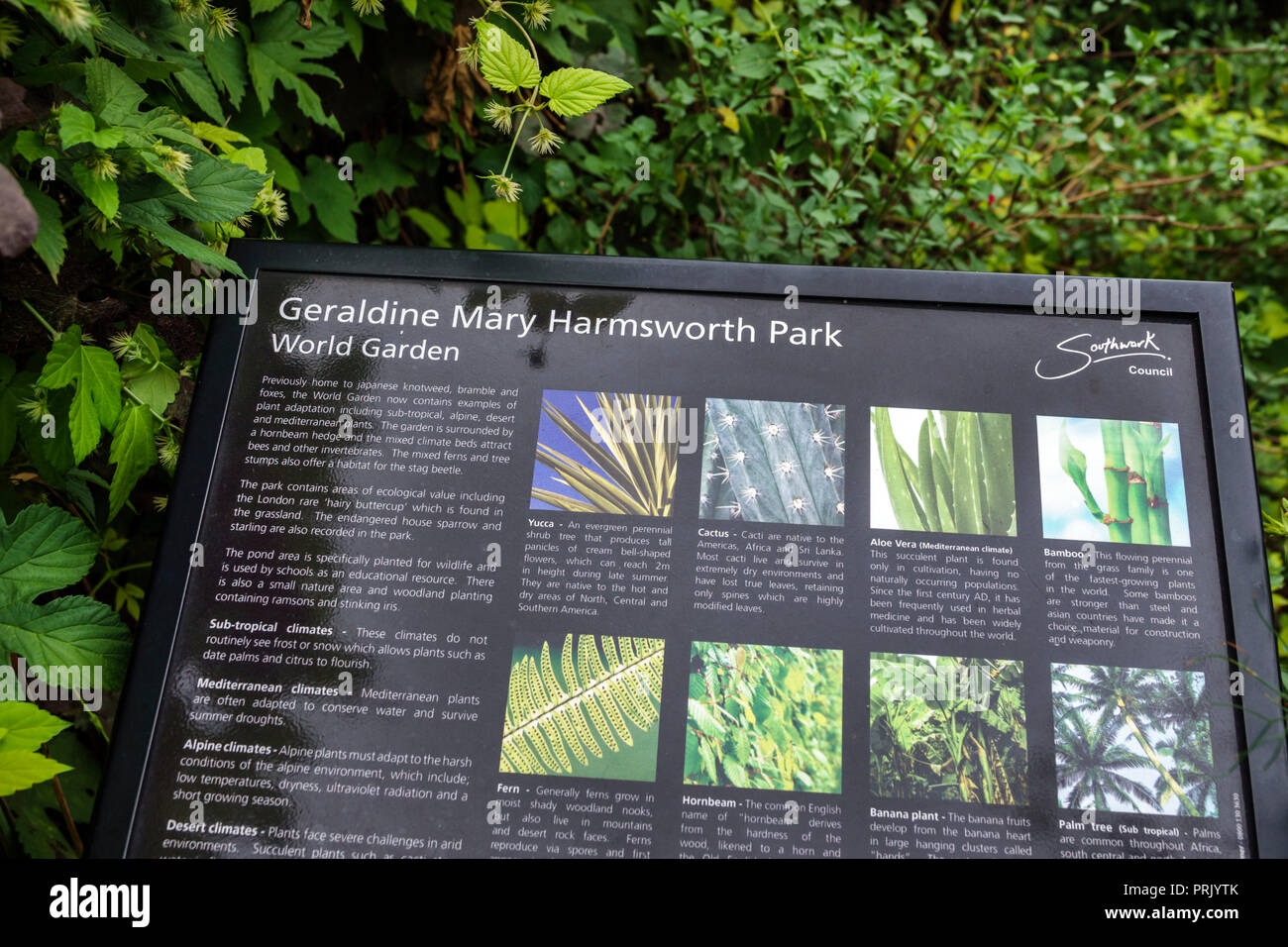 Londra Inghilterra,UK,Southwark,Geraldine Mary Harmsworth Park,World Garden,mostra interpretativa,descrizione delle piante,ecologia,informazioni sui segni,UK GB inglese Foto Stock