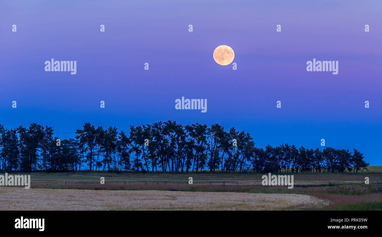 Il 13-giorno-vecchia luna, un giorno prima della completa, con un incremento di oltre il prairie campi su Agosto 6, 2017. Si tratta di un 3-segmento panorama con full-frame Canon 1D- Foto Stock