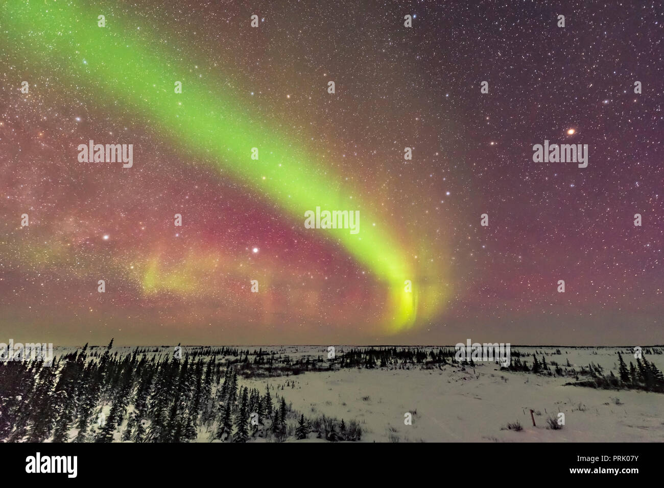 Una dim auroral arco sulla notte di febbraio 14/15 da Churchill Manitoba, con tre stelle luminose ben posizionato: da sinistra a destra - Deneb, Vega, Foto Stock