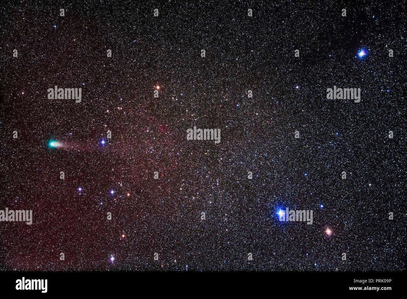 La cometa periodica 21P, Giacobini-Zinner in Auriga il 4 settembre 2018 come passò ad est del triangolo di stelle a destra chiamato i bambini, vicino a capo Foto Stock