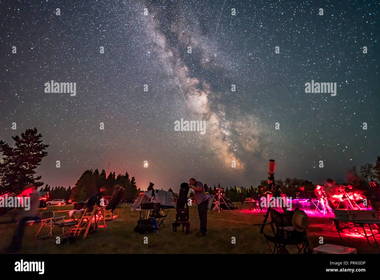 Un osservatore sguardi verso il cielo con la sua Dobsonian telescopio riflettore in Saskatchewan Estate Star Party il 9 agosto 2018, nelle colline di cipressi di sout Foto Stock