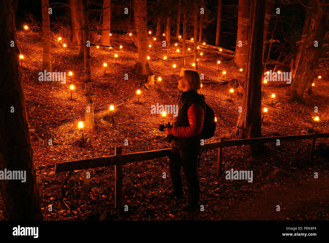 È sotto embargo fino a 1900 Mercoledì 03 Ottobre Alison Lowson viste la foresta incantata della luce e del suono festival in legno Faskally in Pitlochry. Foto Stock