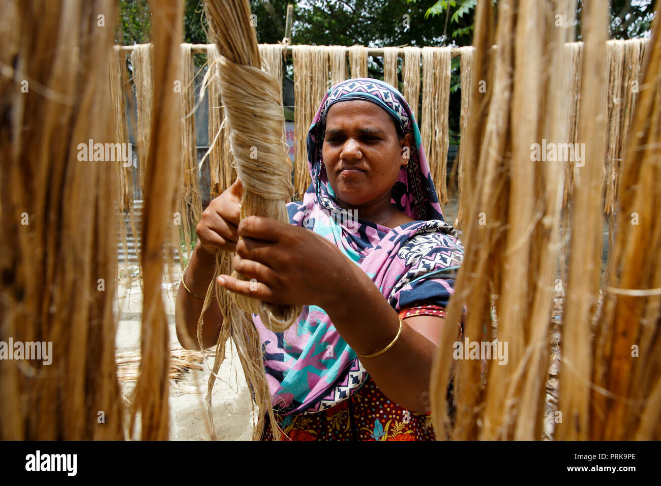 Una donna si asciuga le fibre di iuta a Modhukhali in Faridpur, Bangladesh. Foto Stock