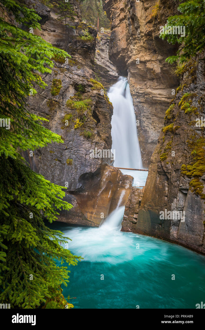 Johnston Creek è un affluente del fiume Bow in Canada Montagne Rocciose. Il torrente è situato nel Parco Nazionale di Banff. Foto Stock