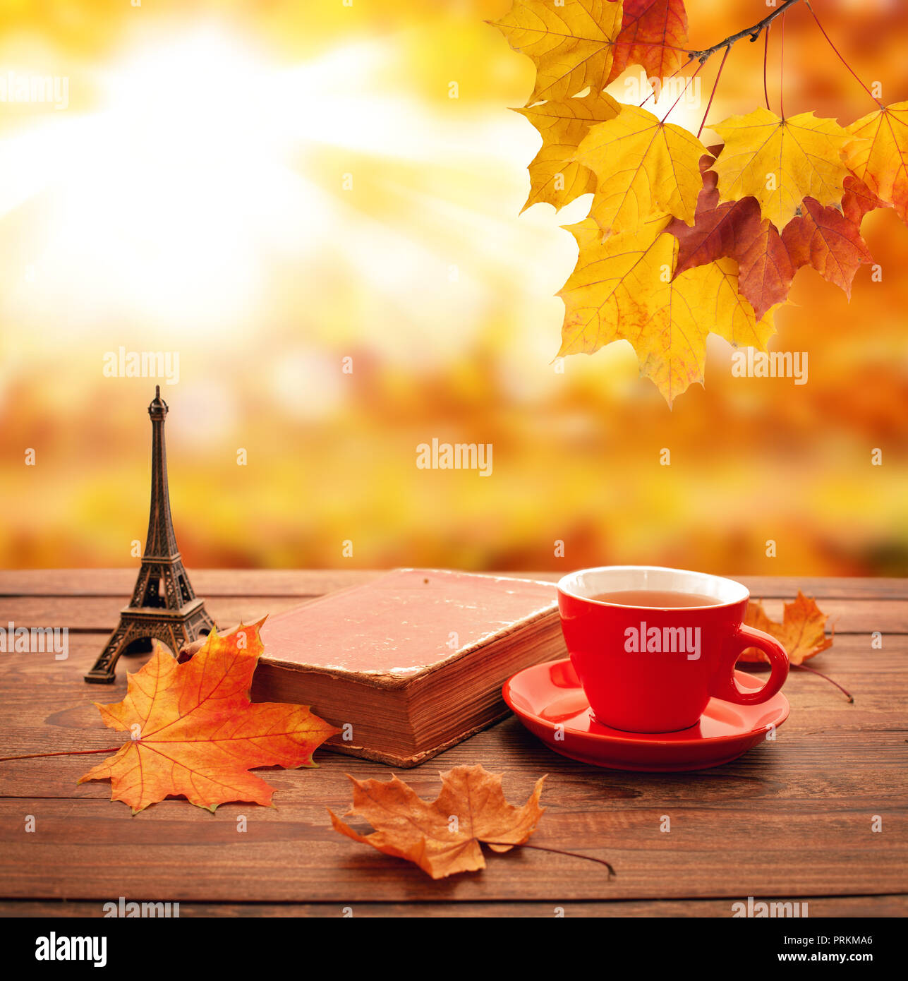 Autunno sfondo. Foglie di autunno, libro e la tazza di tè sul tavolo di legno closeup nel parco. Foto Stock