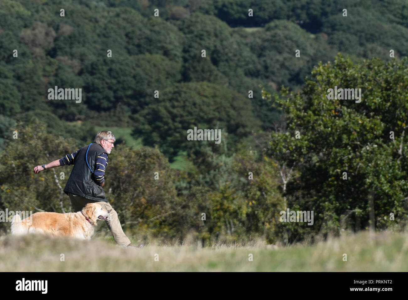 Uomo di gettare una sfera per il suo cane Foto Stock