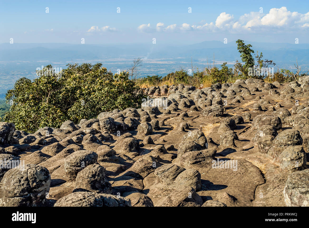 Roccia Nodulated campo in Lan Hin Pum all'interno di Phu Hin Rong Kla National Park vicino a Phitsanulokb, Thailandia Foto Stock