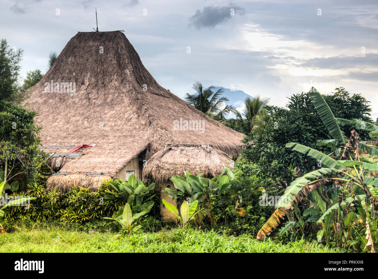 Paesaggio con molti campi di riso vicino alla città di Ubud a Bali, Indonesia Foto Stock