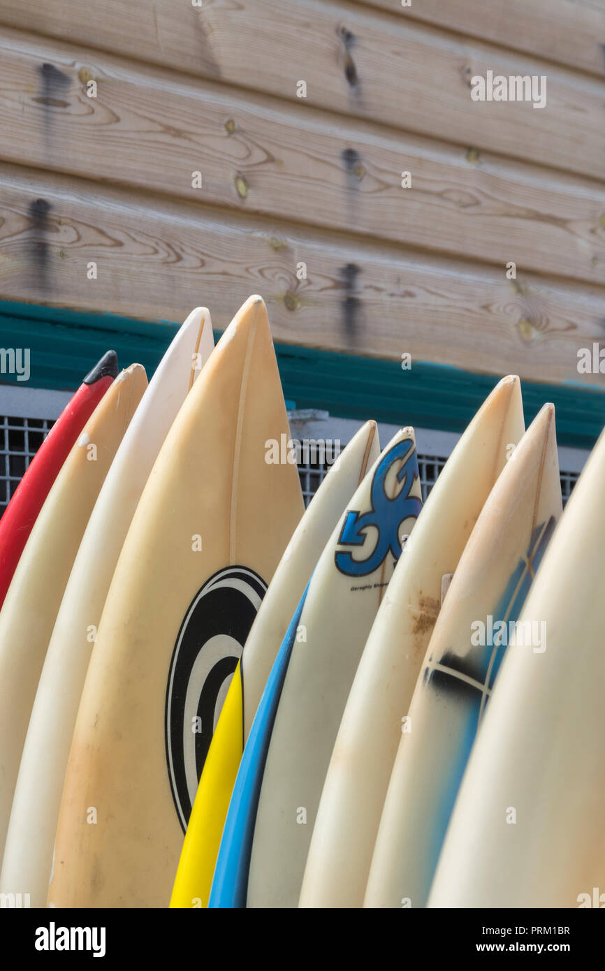 Riflettere il mondo del surf, tavole da surf e attività di navigazione / lifestyle a Newquay, Cornwall. Home di Boardmasters Festival. Foto Stock