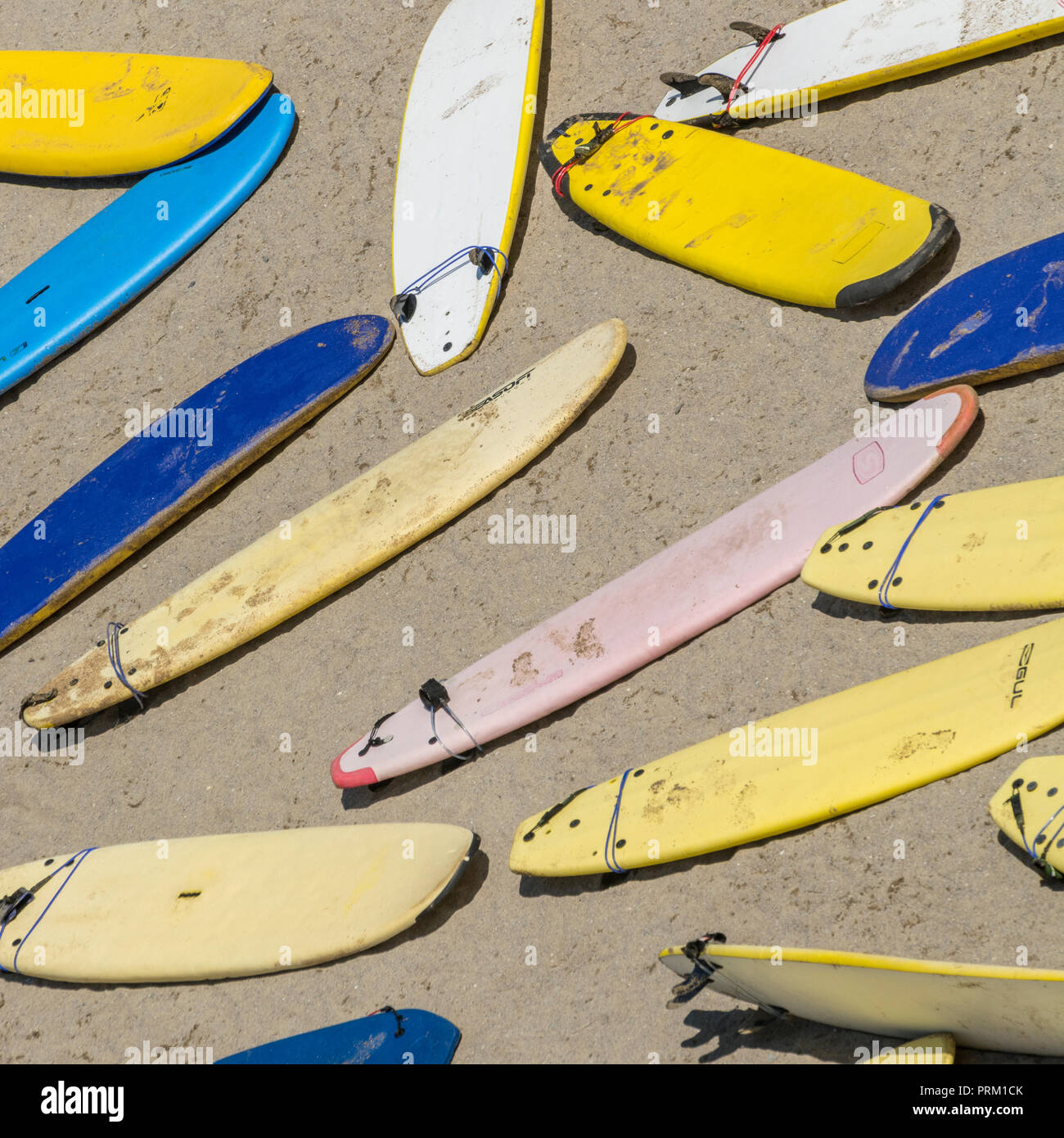 Riflettere il mondo del surf, tavole da surf e attività di navigazione / lifestyle a Newquay, Cornwall. Home di Boardmasters Festival. Foto Stock