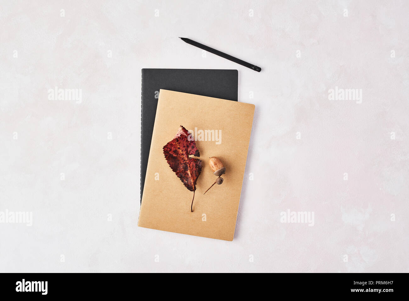 Concetto di autunno dell'ufficio. Vista superiore del marrone e nero notebook con foglia, acorn e matita nera su rose e sfondo bianco. Lay piatto con copia Foto Stock
