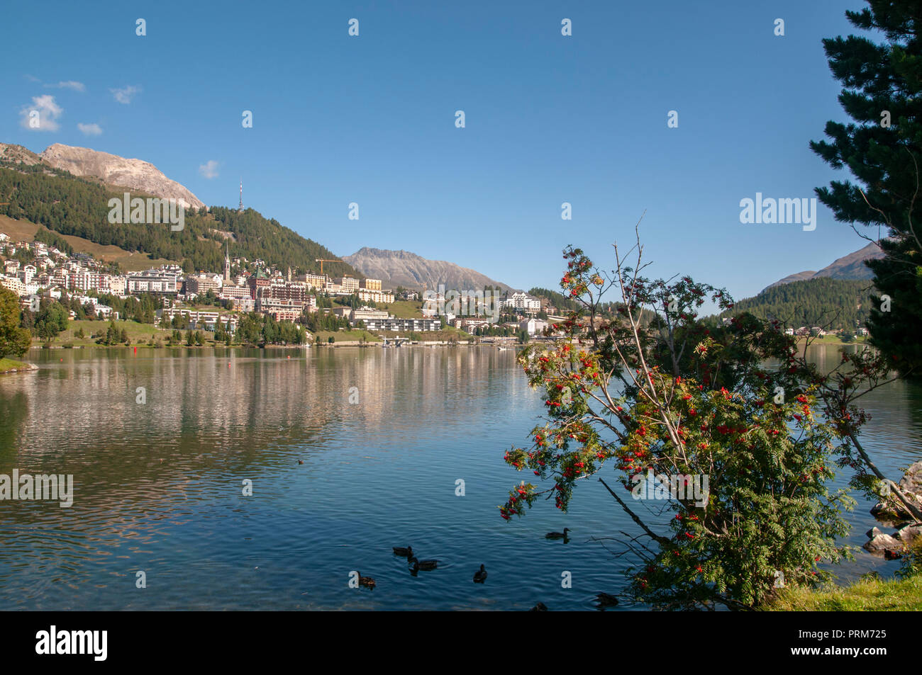 San Moritz, Svizzera con il lago di San Moritz in primo piano Foto Stock