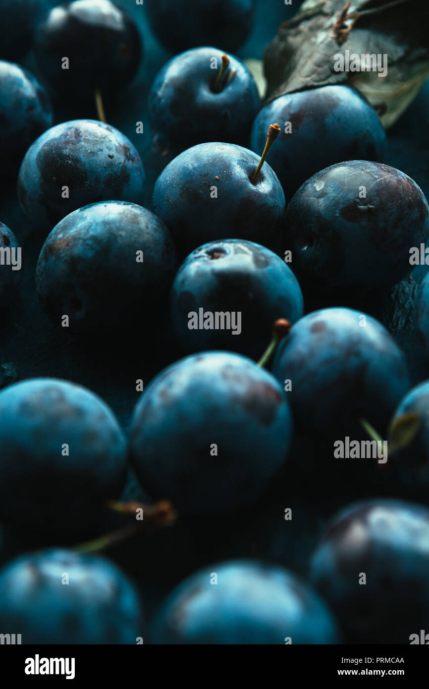 Molte le prugne fresche su sfondo blu vicino. Foto Stock