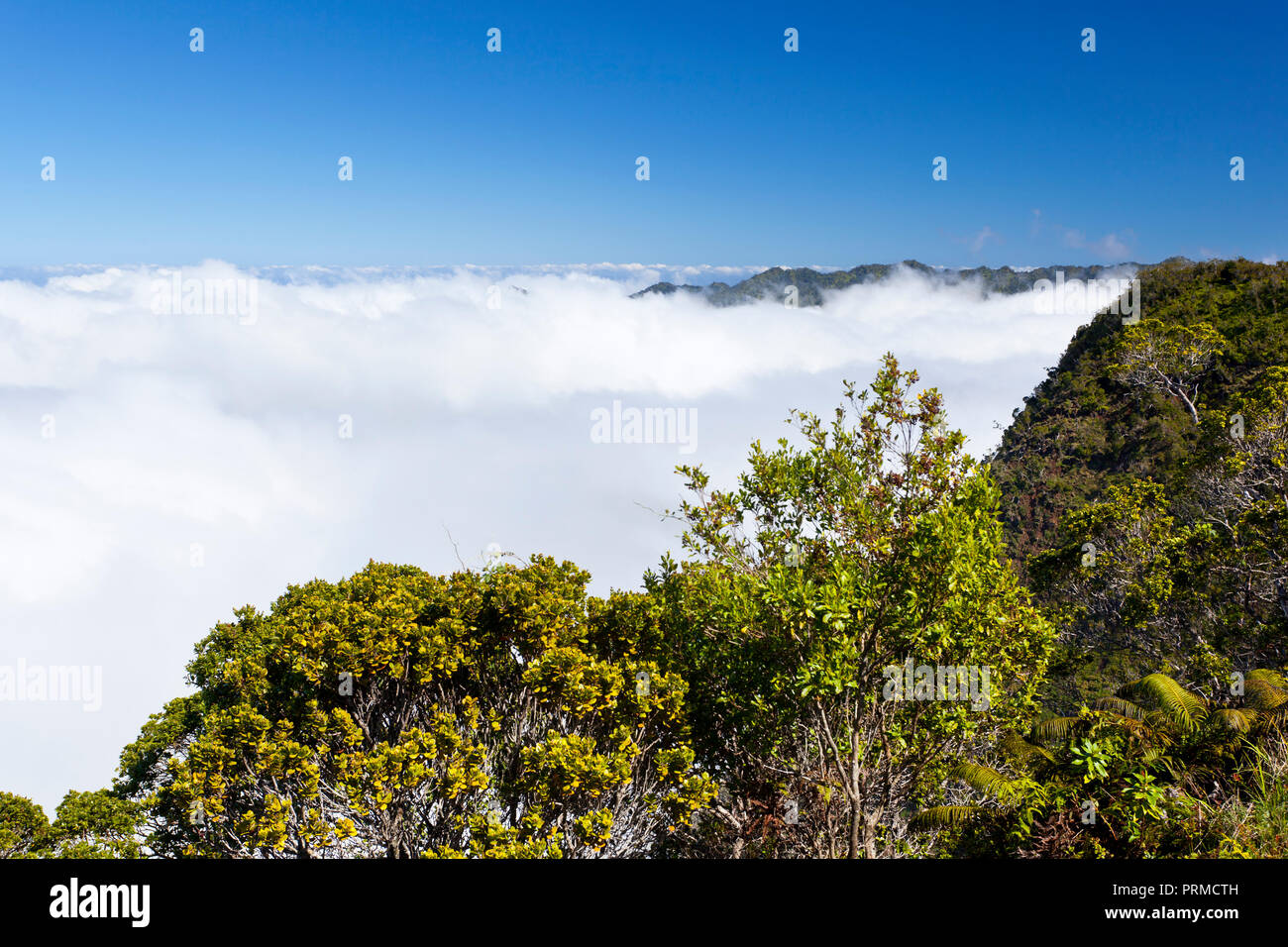 La famosa valle Kalalau a sinistra completamente coperto di nuvole in Kauai, Hawaii. Foto Stock