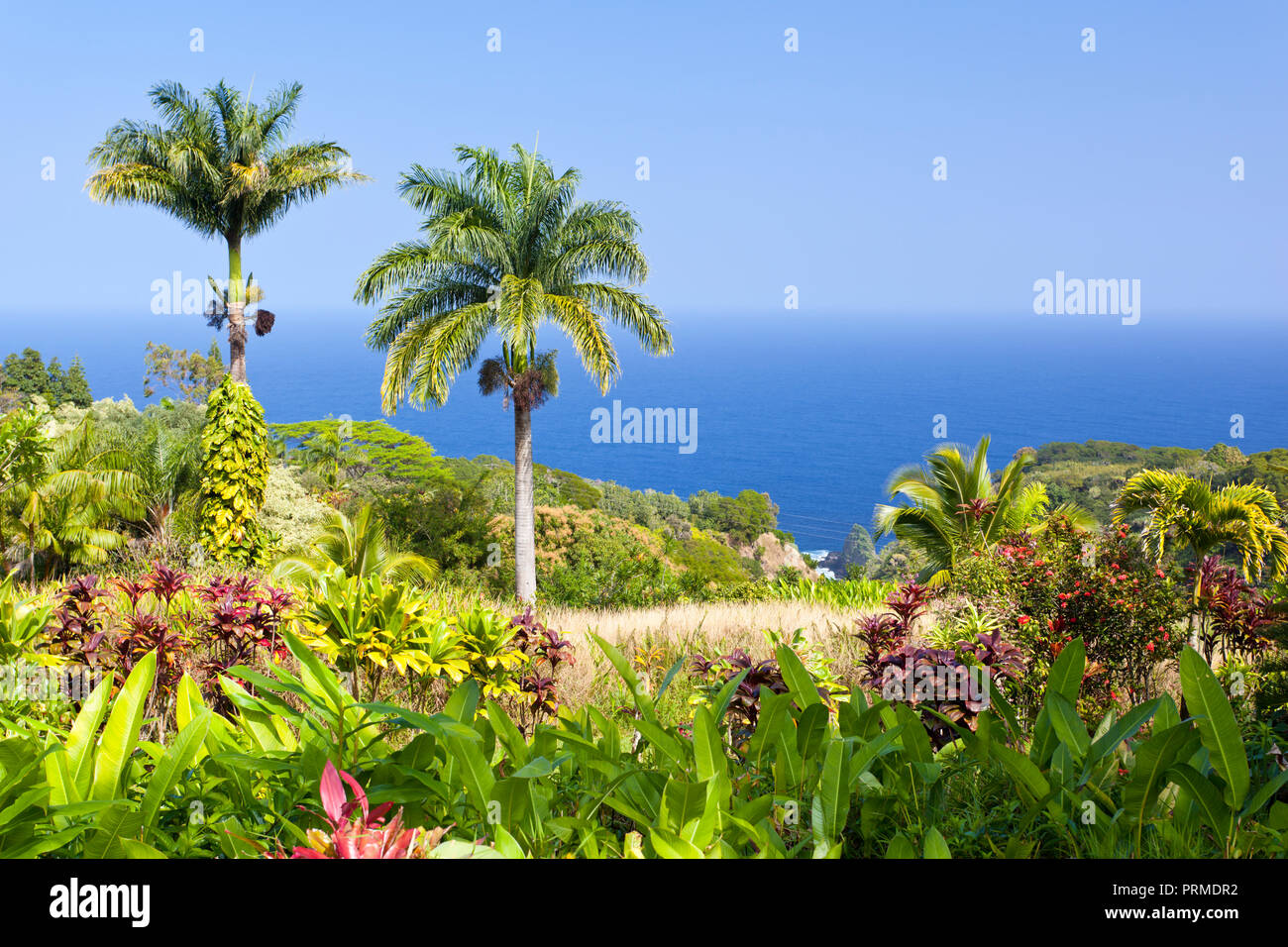 Giardino paesaggistico tropicale in Maui, Hawaii. Foto Stock