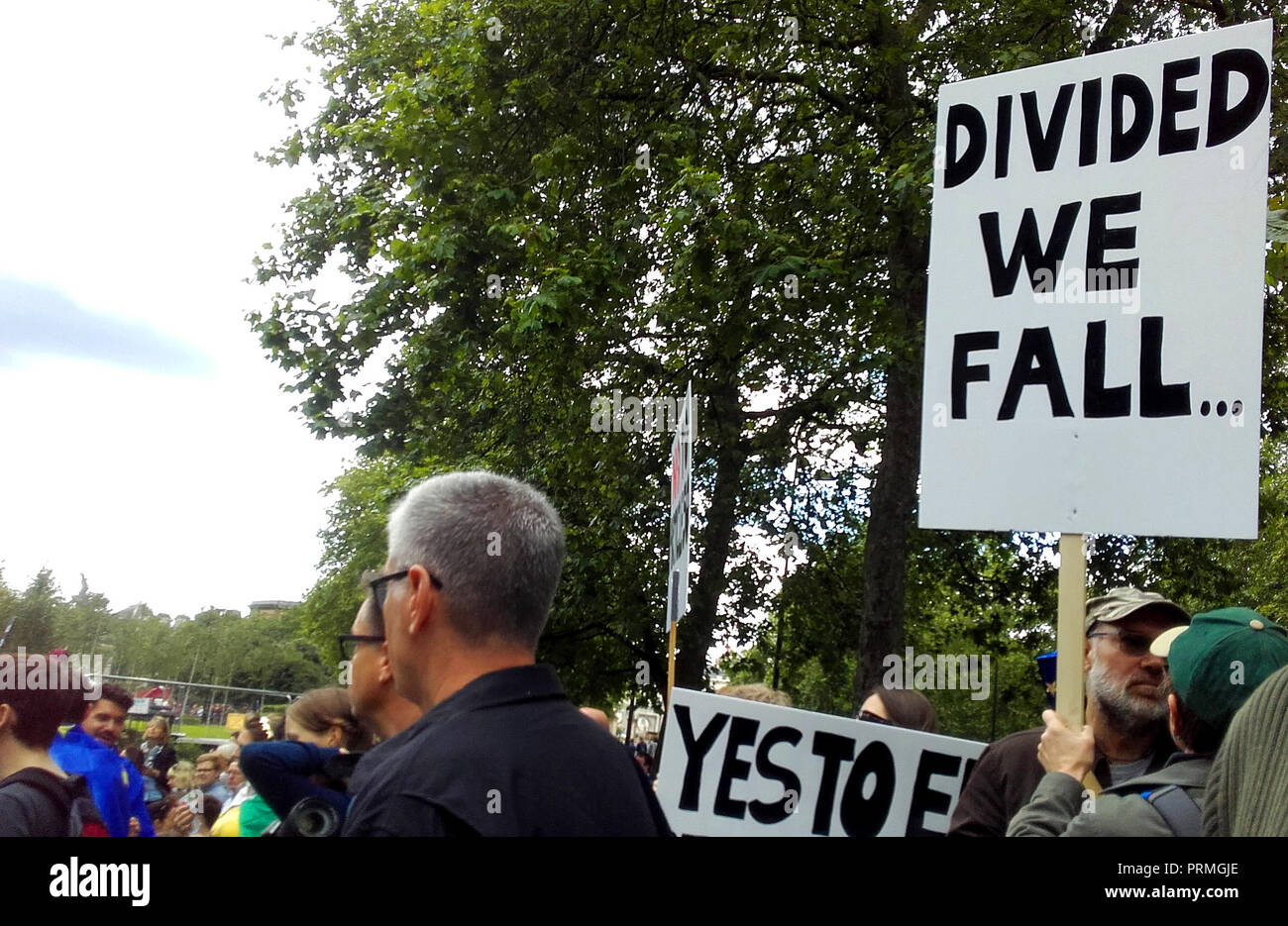 Londra, UK, 2 luglio 2016. 'Marco per l'Europa", Anti-Brexit protesta. Un manifestante tiene un cartello che diceva "ritagliati possiamo cadere". Foto Stock