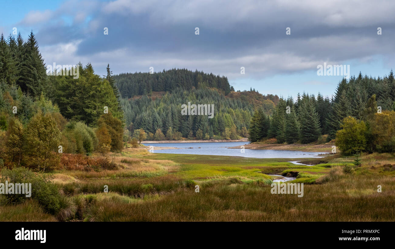 Un piccolo ruscello che conduce al Loch Druckie nel Queen Elizabeth Forest nel Trossachs National Park Foto Stock