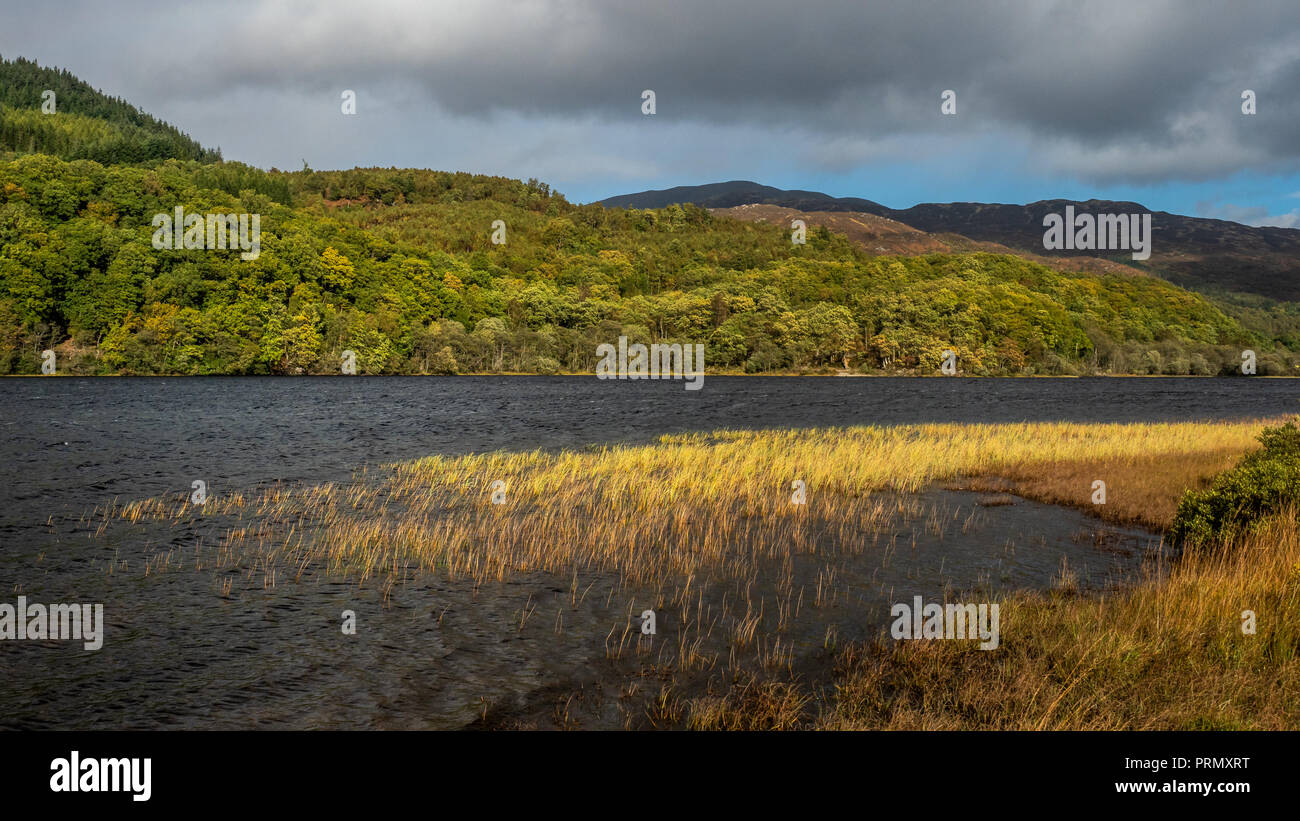 Le tempeste sulla spiaggia di Loch Achray su una giornata autunnale mentre sui Tre Laghi drive nel Trossachs National Park nelle Highlands scozzesi Foto Stock