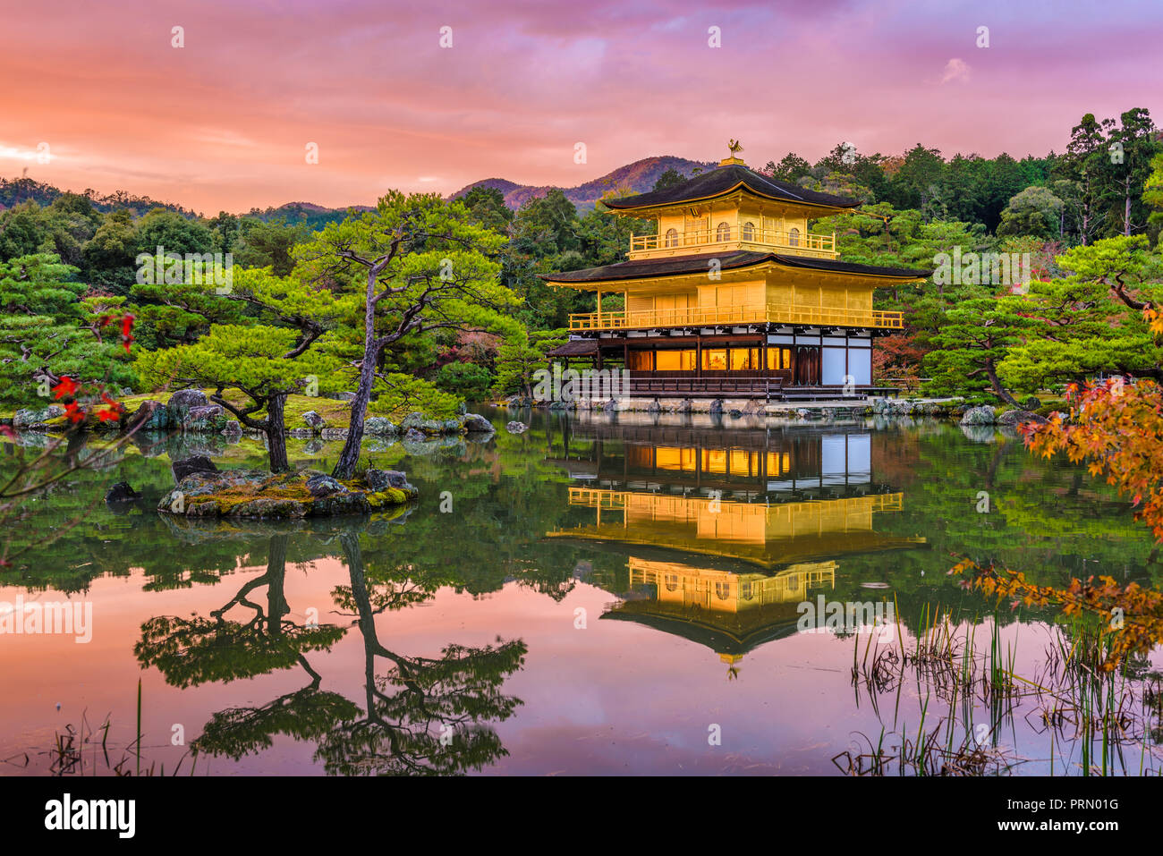 Kyoto, Giappone al Kinkaku-ji il tempio del Padiglione Dorato al tramonto. Foto Stock