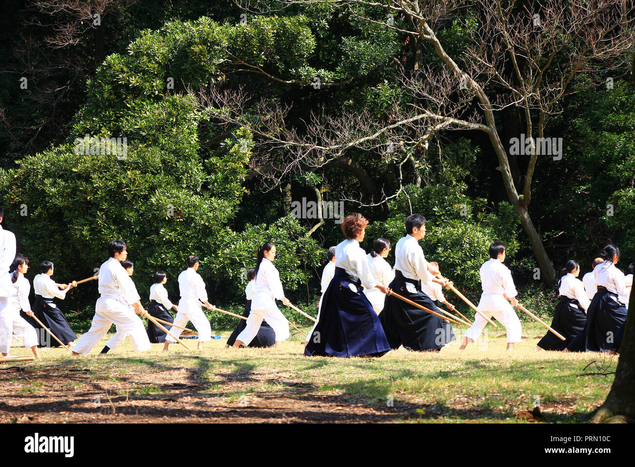 Arte Marziale formazione nel Parco Yoyogi, Tokyo, Giappone Foto Stock