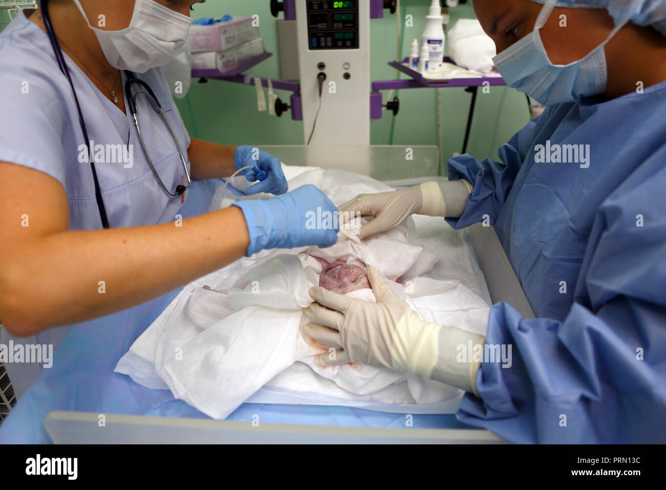Geburt, Neugeborenes,Krankenschwester,Krankenhaus,Tschechien Foto Stock