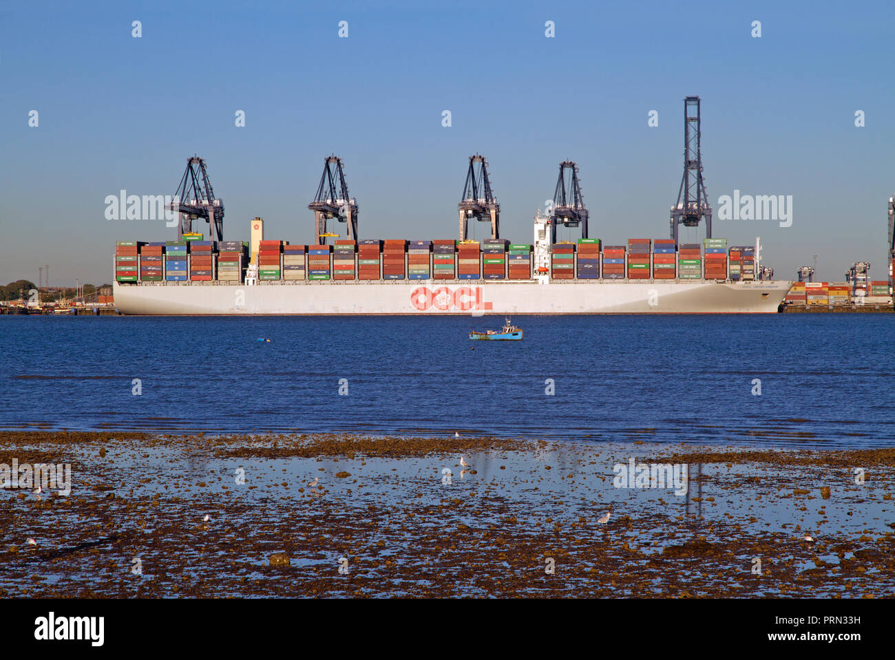 Un contenitore grande nave la OOCL Regno Unito ormeggiata nel porto di Felixstowe nel Suffolk. Foto Stock