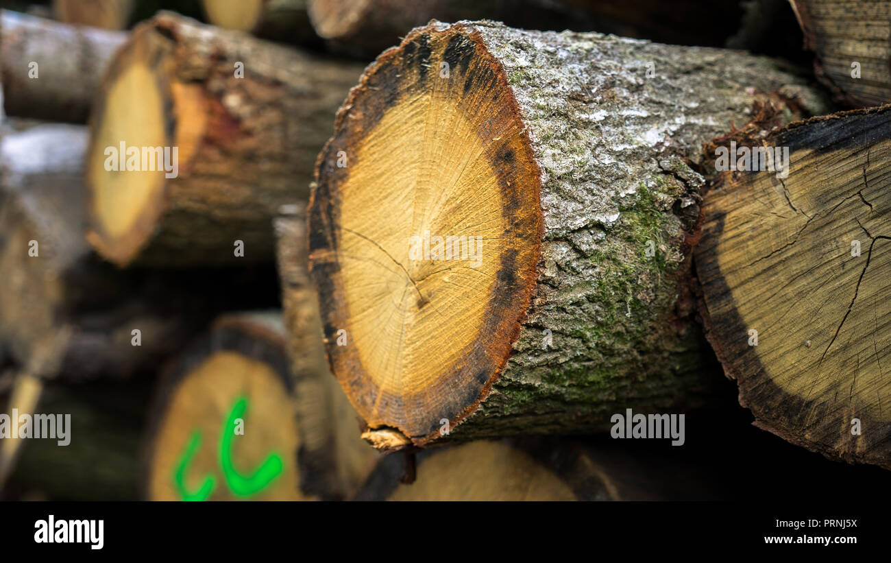 Registri sovrapposti di legno pronto per lavoro Foto Stock
