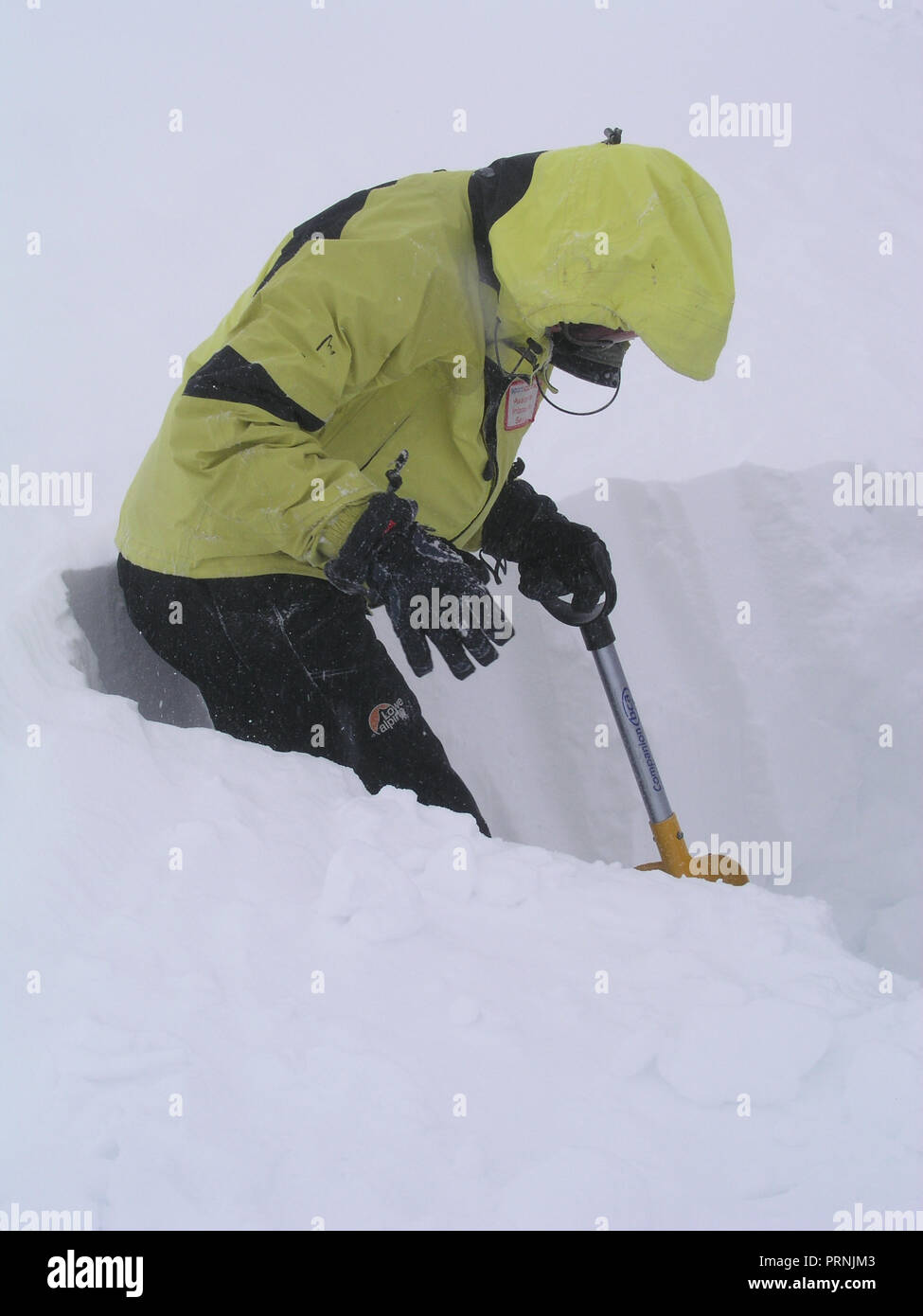 Un membro della Scottish Servizio Valanghe di effettuare osservazioni sulla neve pack stabilità in Cairngorm National Park Foto Stock