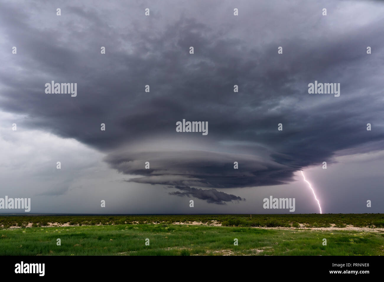 Tempesta di Supercell con nubi drammatiche e fulmini vicino a San Simon, Arizona Foto Stock