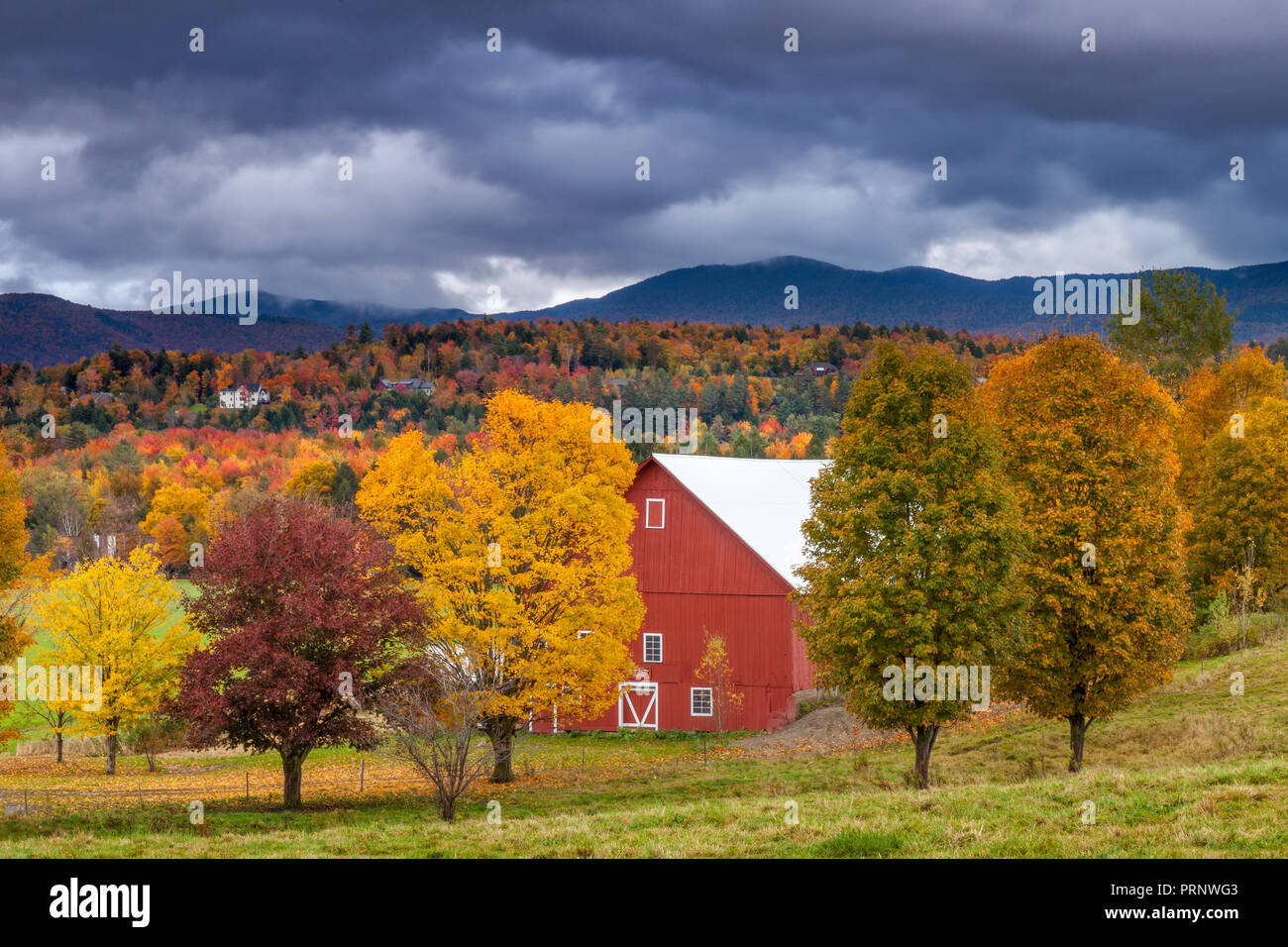 Caduta delle foglie rosso circostante fienile vicino a Stowe Vermont, USA Foto Stock