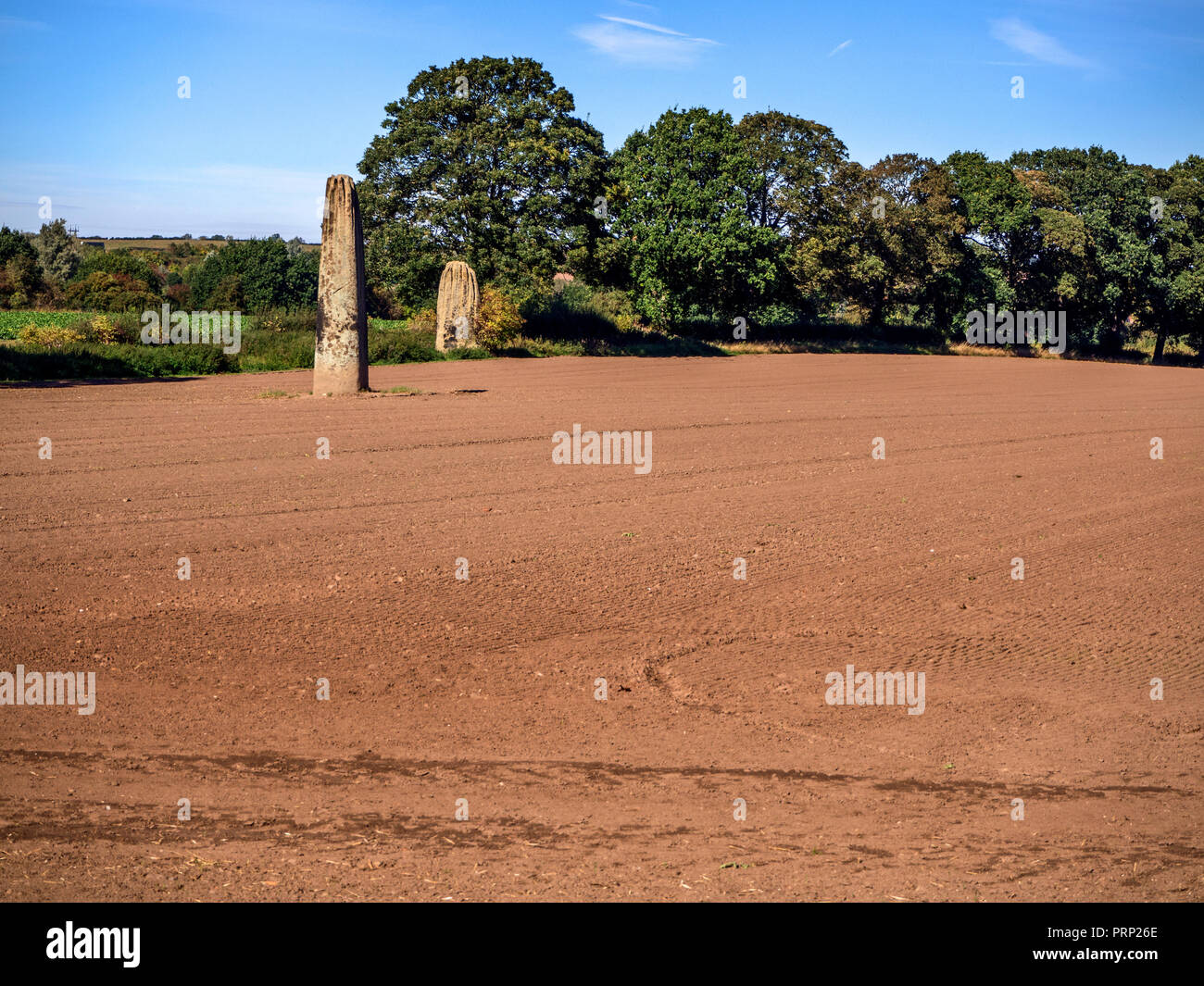 I diavoli frecce macina preistorici monoliti di grana c2700BC a Boroughbridge North Yorkshire, Inghilterra Foto Stock