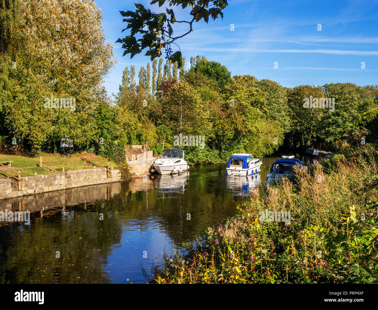 Barche sul Fiume Ure navigazione inizio autunno a Boroughbridge North Yorkshire, Inghilterra Foto Stock