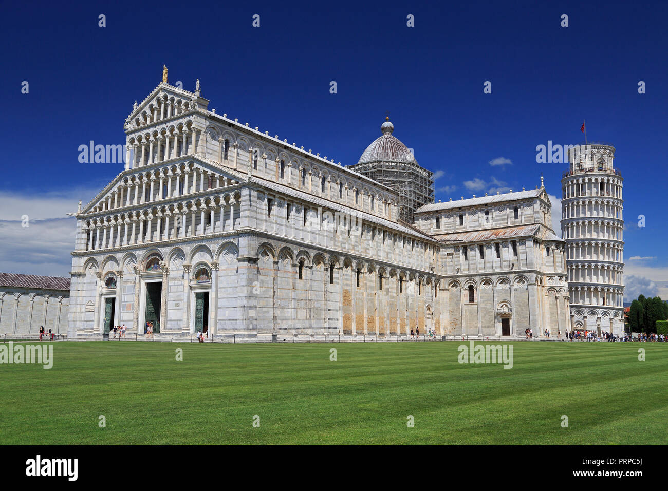 Piazza del Duomo di Pisa in basilica e la torre di Pisa, Italia Foto Stock