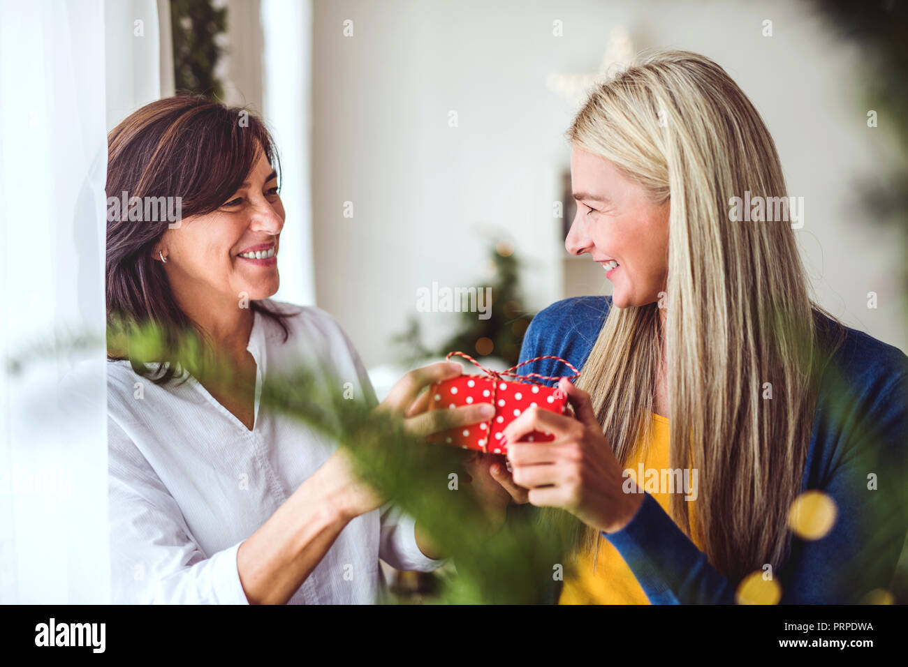 Un senior donna dando un presente ad un adulto la figlia a casa al tempo di Natale. Foto Stock