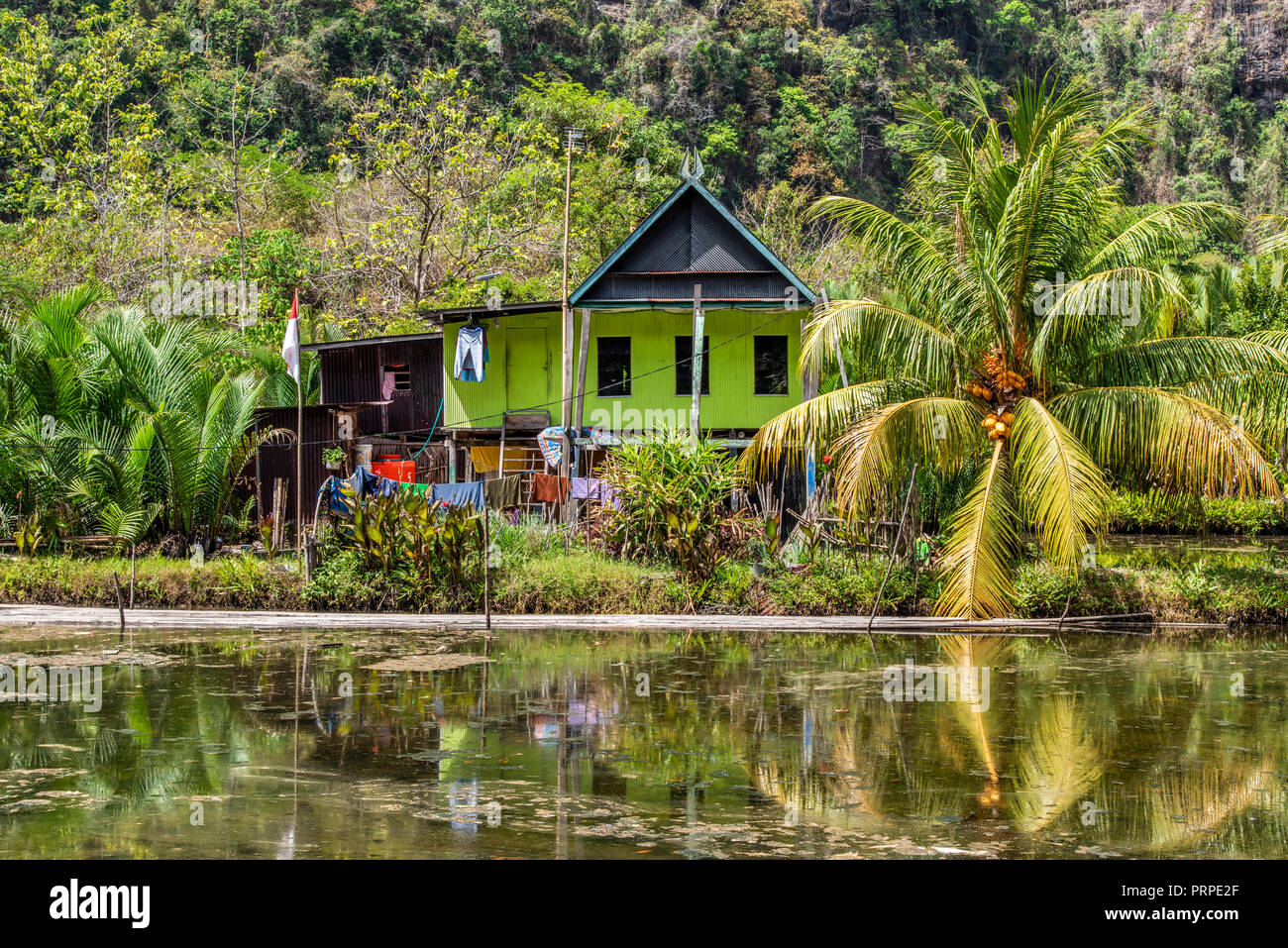 Carso paesaggio di montagna, Ramang Ramang, Sulawesi, Indonesia Foto Stock