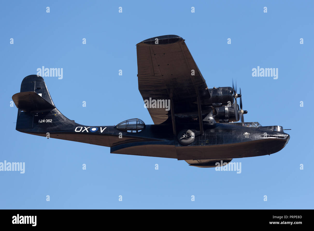 Diritto consolidato costruttiva PBY Catalina Flying Boat VH-PBZ azionati dai velivoli storici società di restauro (HARS) indossa il famoso ÔBlack CatsÕ livrea fro Foto Stock