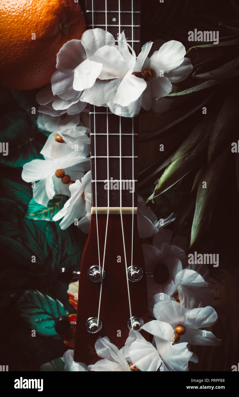 Primo piano di un ukulele contro un sfondo marrone Foto Stock