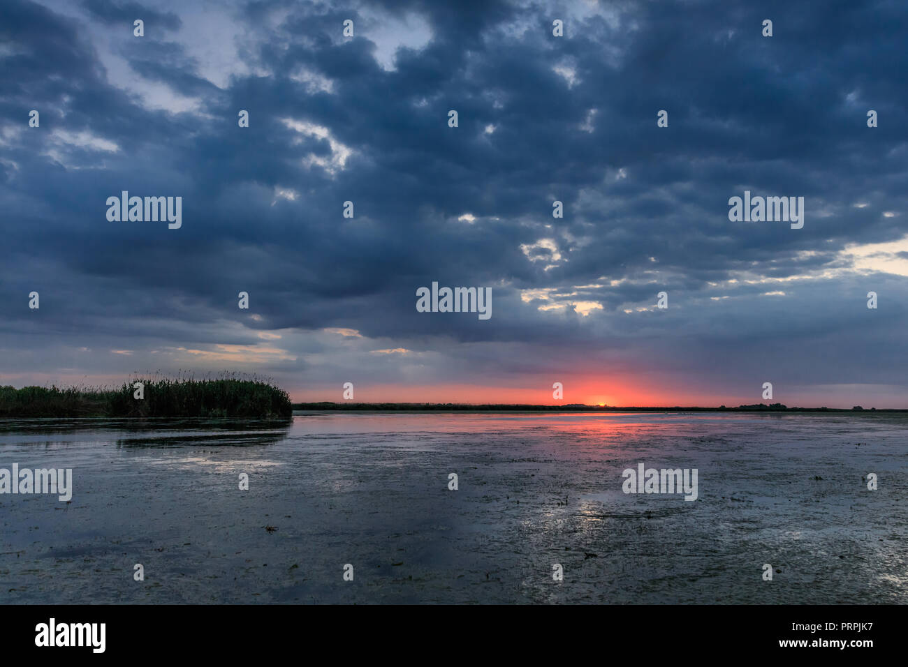 Sunrise nel Delta del Danubio, Romania, Europa Foto Stock