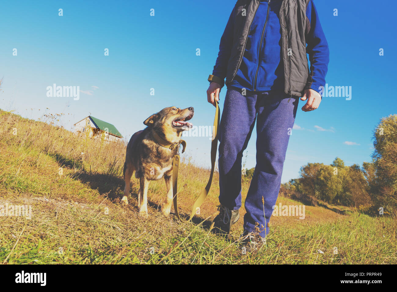 L'uomo con il cane passeggiate nel campo in autunno. L'uomo tiene il cane al guinzaglio Foto Stock