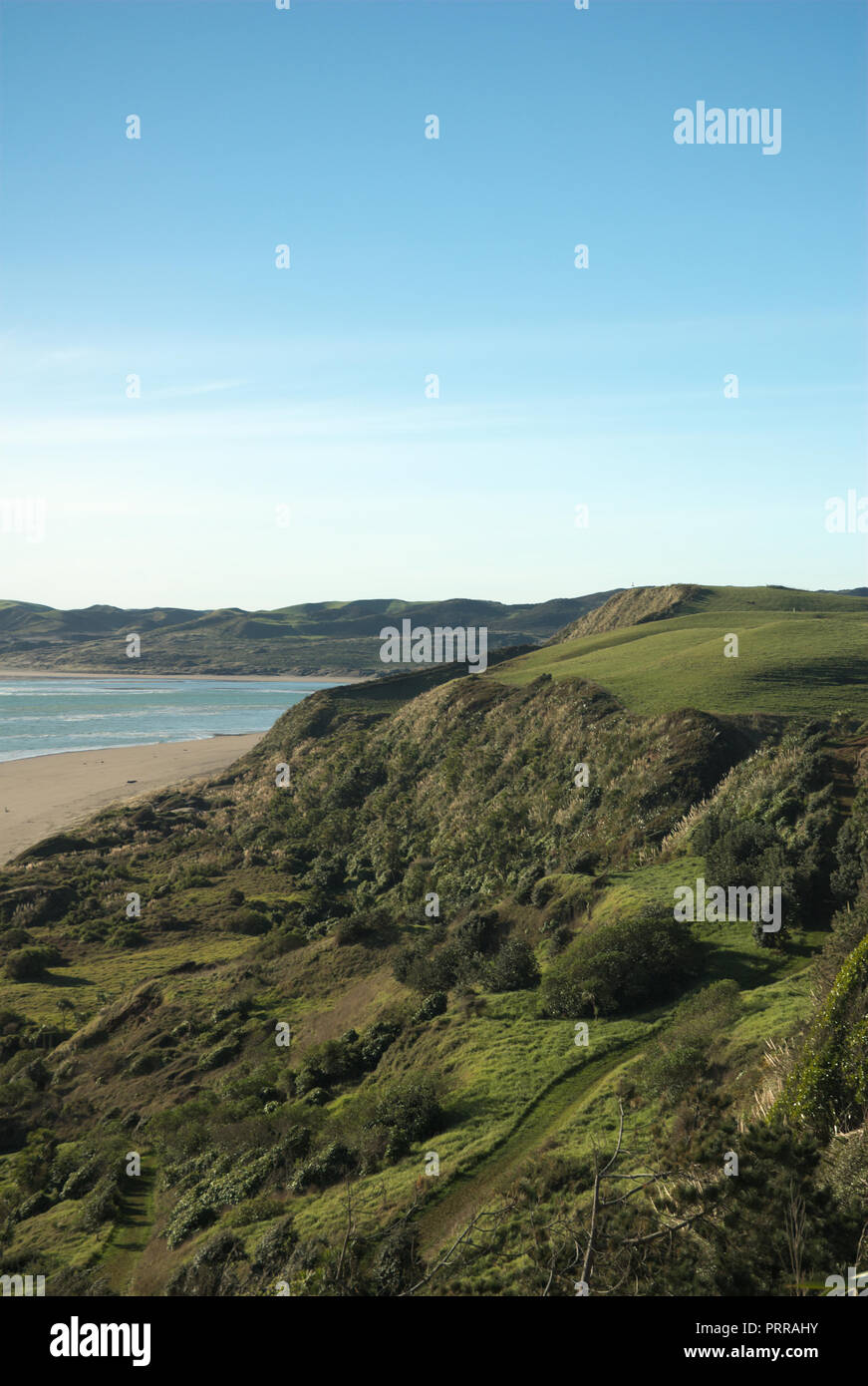 Belle spiagge a Raglan, Waikato, Isola del Nord, Nuova Zelanda Foto Stock