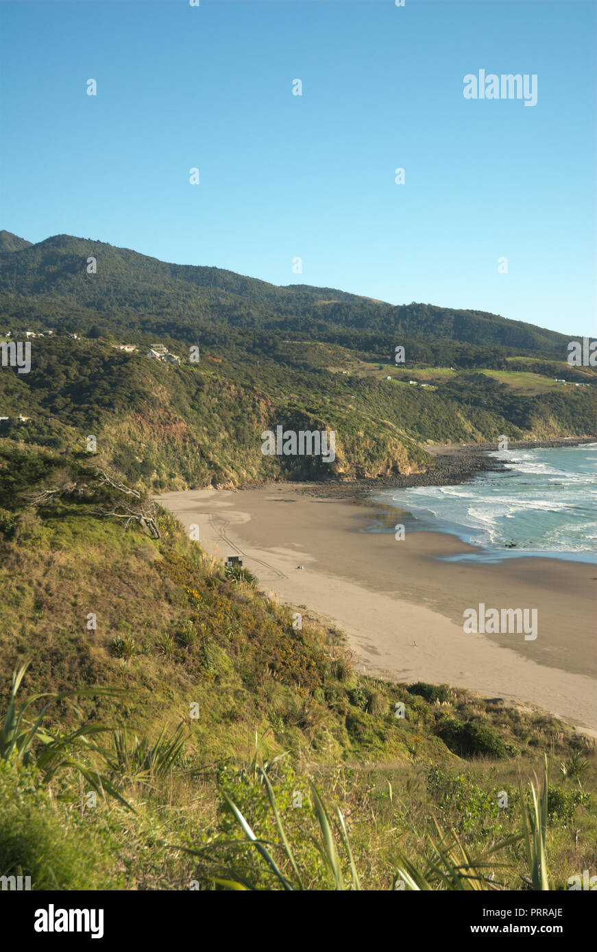 Belle spiagge a Raglan, Waikato, Isola del Nord, Nuova Zelanda Foto Stock