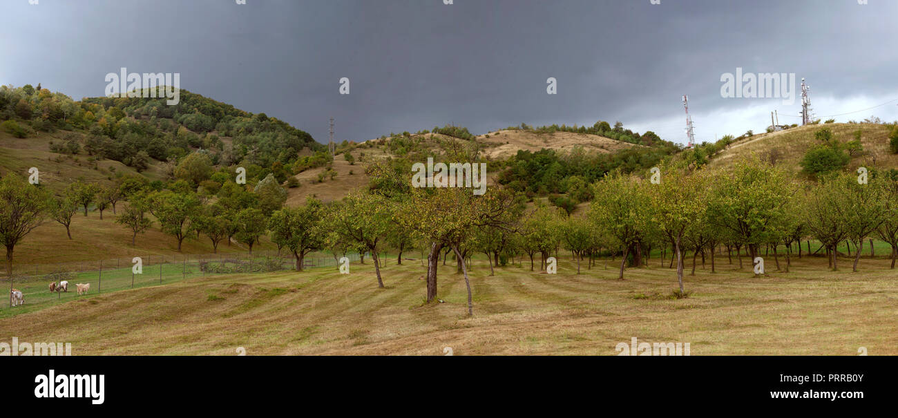 Vista panoramica delle colline con alberi sotto il cielo velato. Lo scenario spettacolare Foto Stock