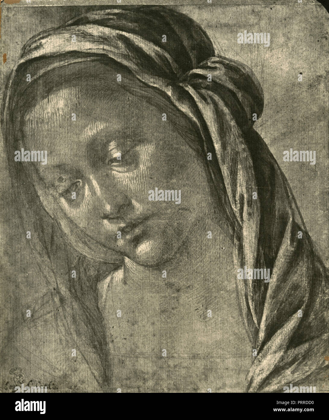 Testa di Madonna, studi di disegno di Lorenzo di Credi, 1920s Foto Stock