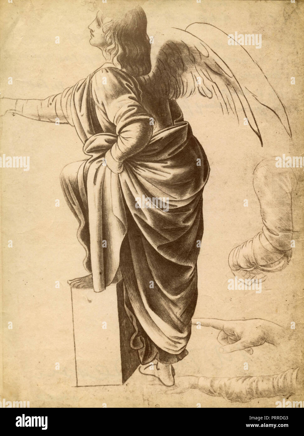 Studio di un angelo, disegno di Leonardo da Vinci, 1900s Foto Stock