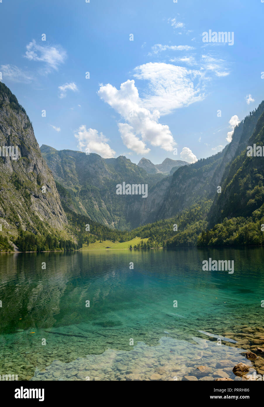 Obersee, lago di montagna, il paesaggio di montagna, Salet am Königssee, Parco Nazionale di Berchtesgaden, Berchtesgadener Land Foto Stock