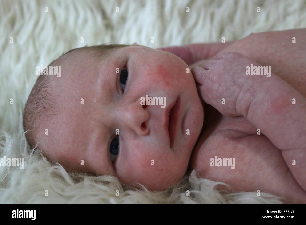 Primo piano della faccia su un neonato su un fuzzy morbido manto Foto Stock
