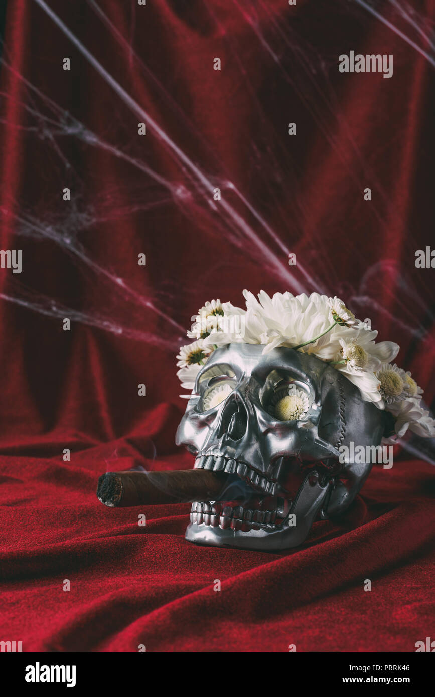 Cranio di argento con fiori di fumare il sigaro sul panno rosso con spider web Foto Stock