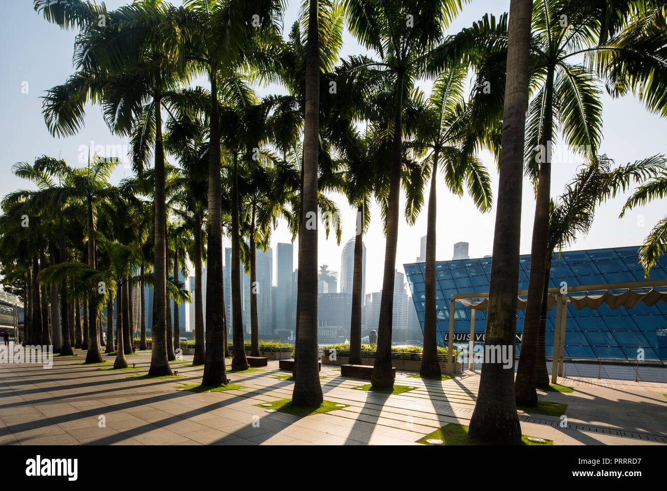 Passerella panoramica all'aperto a Marina Bay Sands, Singapore, Sud-Est Asiatico. Foto Stock