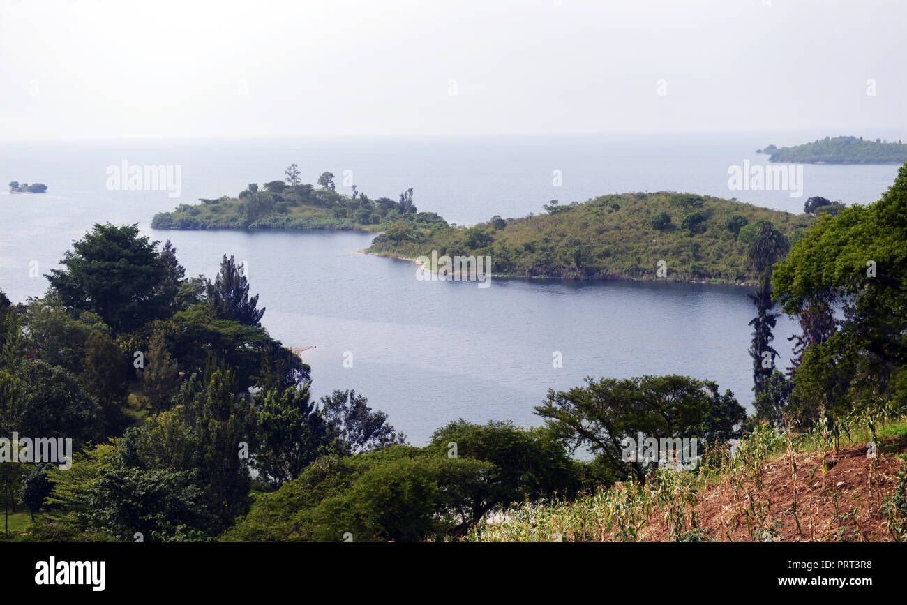Uno splendido scenario sul Lago Kivu, Ruanda. Foto Stock