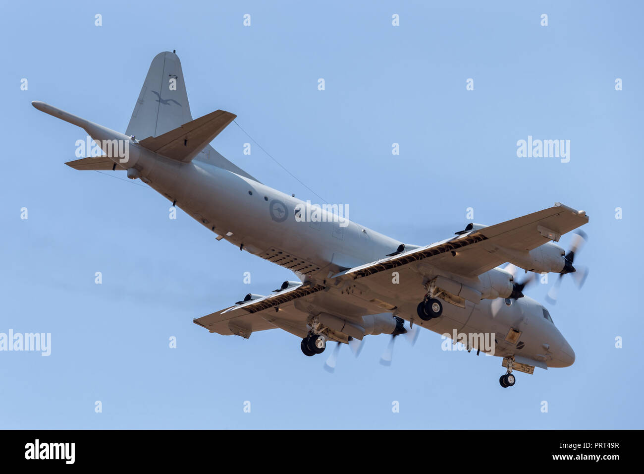 Royal Australian Air Force (RAAF) Lockheed AP-3C Orion di pattugliamento marittimo e Anti guerra sottomarina di aeromobili. Foto Stock